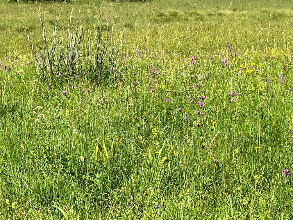 22-07-05 13-04-43 1397